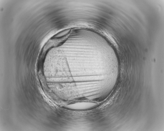 X0000087000944200705141802