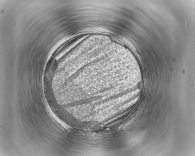 X0000087000947200705141802
