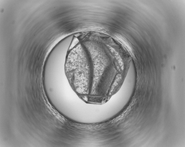 X0000087000948200705141802