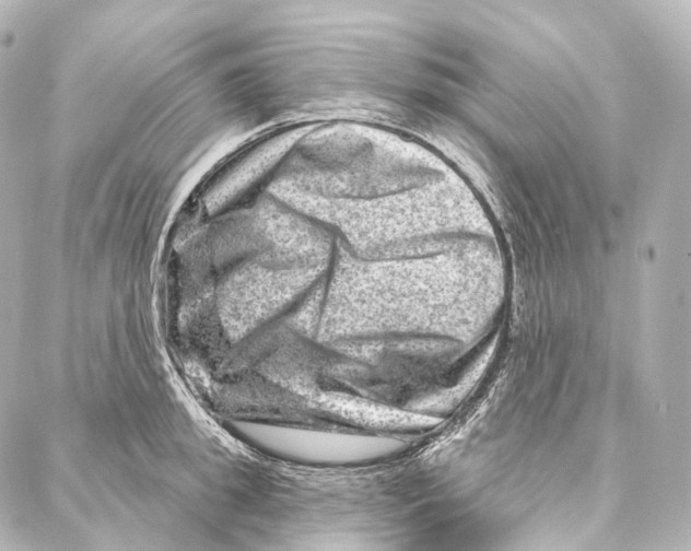 X0000087000949200705141802