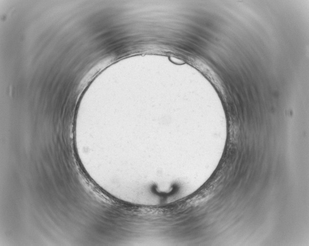 X0000087000954200705141803