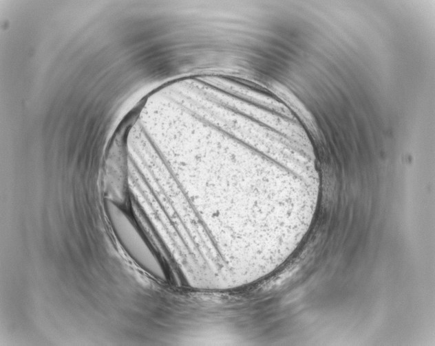 X0000087000956200705141803