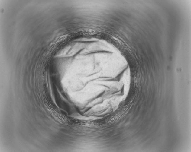 X0000087000961200705141802