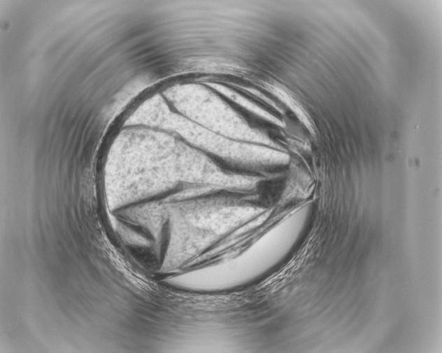 X0000087000972200705141802