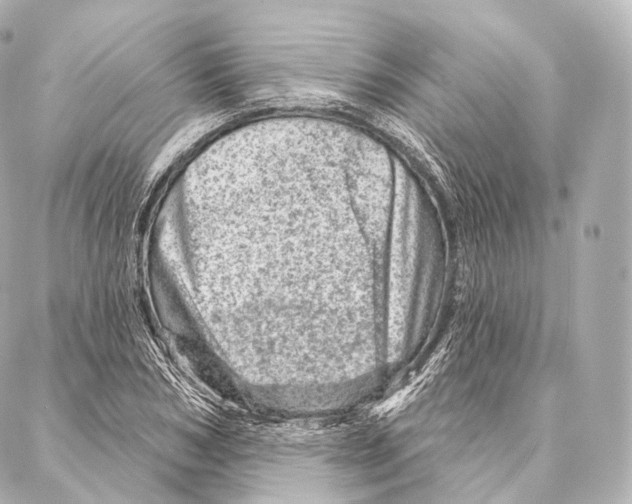 X0000087000978200705141802