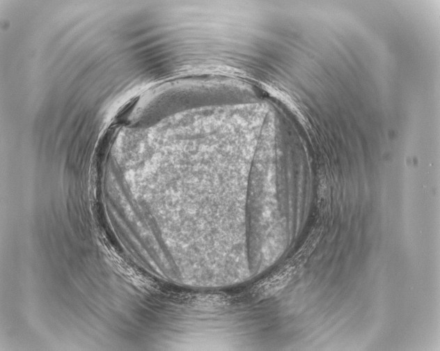 X0000087000979200705141802