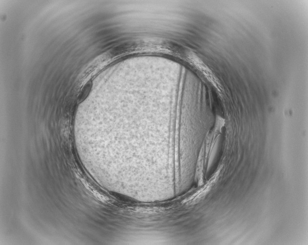 X0000087000985200705141801