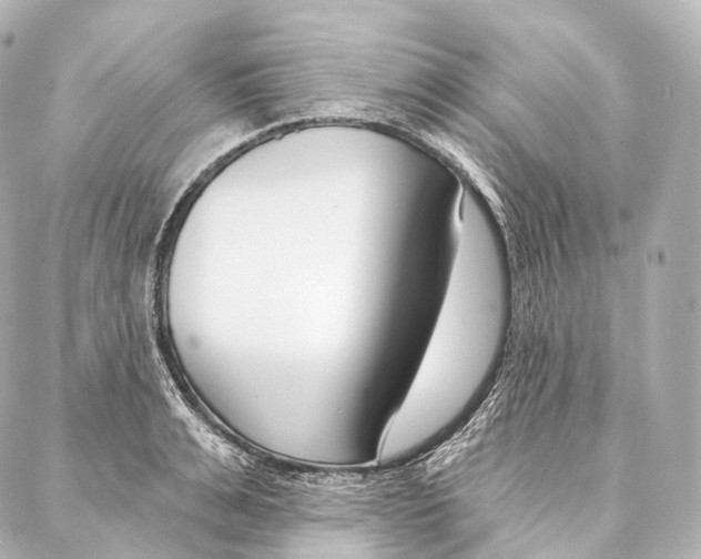 X0000087000991200705141801