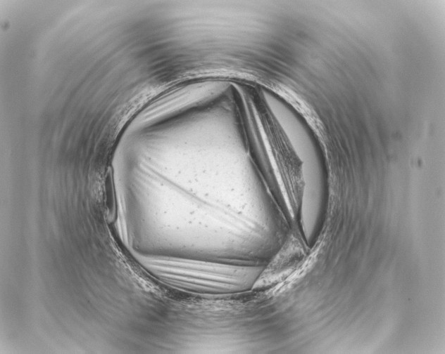 X0000087000993200705141801