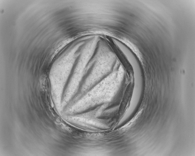 X0000087001001200705141801