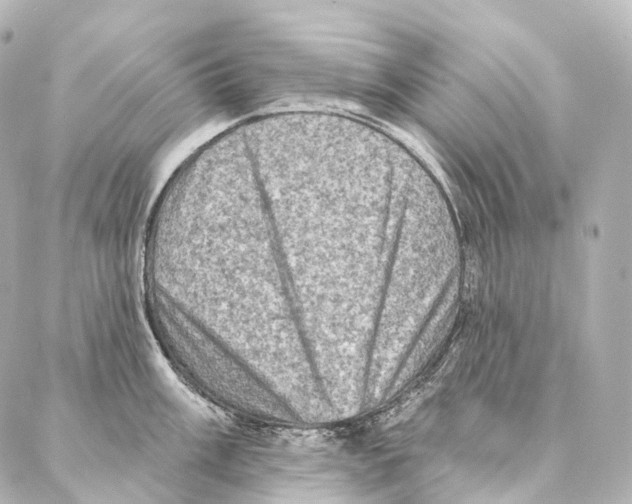 X0000087001003200705141801