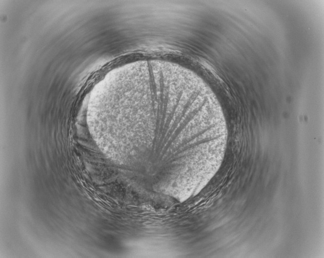 X0000087001016200705141800