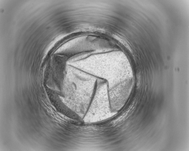 X0000087001021200705141800