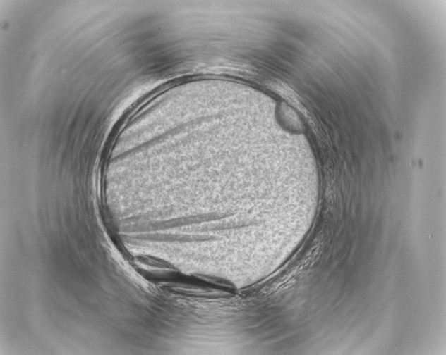 X0000087001032200705141801