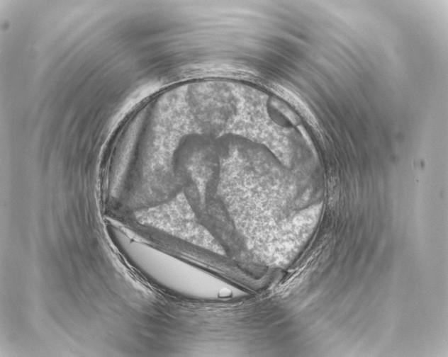 X0000087001043200705141801