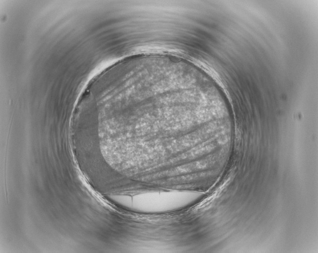X0000087001045200705141801