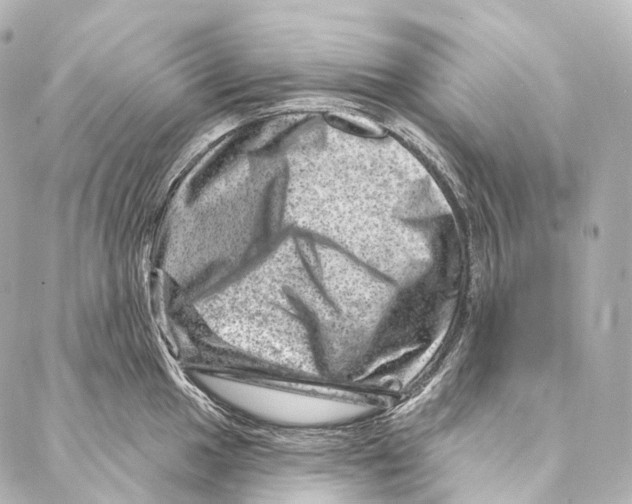 X0000087001049200705141801