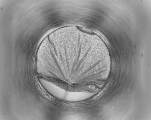 X0000087001052200705141801
