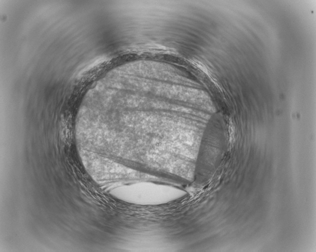 X0000087001063200705141800