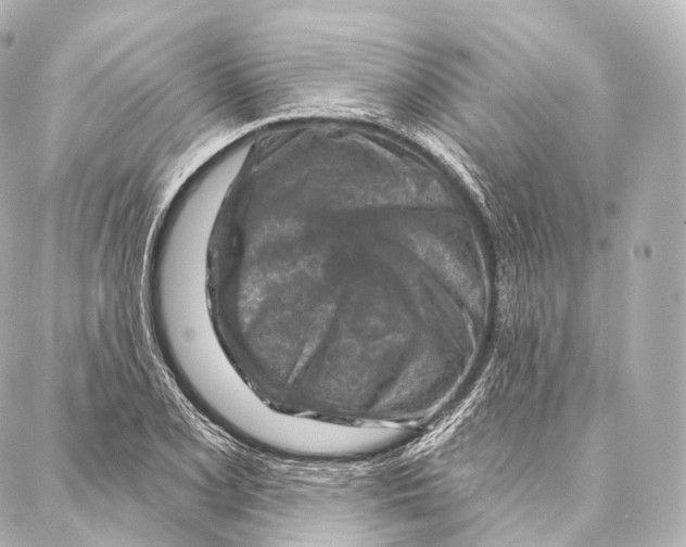 X0000087001077200705141800