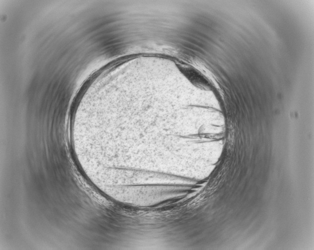 X0000087001080200705141800