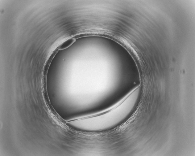 X0000087001085200705141800