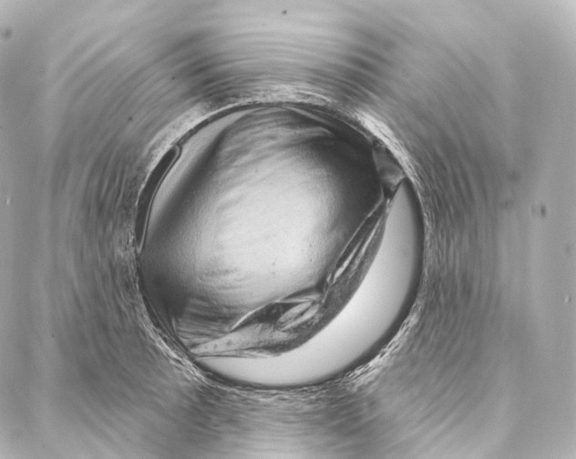 X0000087001089200705141800