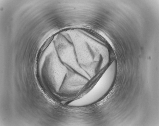 X0000087001093200705141800