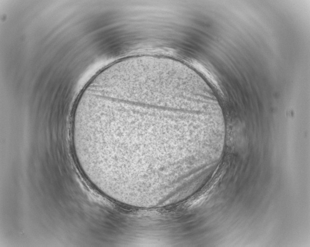 X0000087001094200705141800