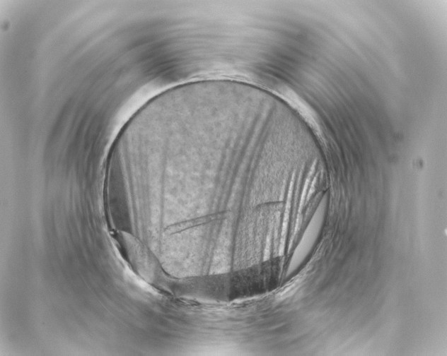 X0000087001102200705141800