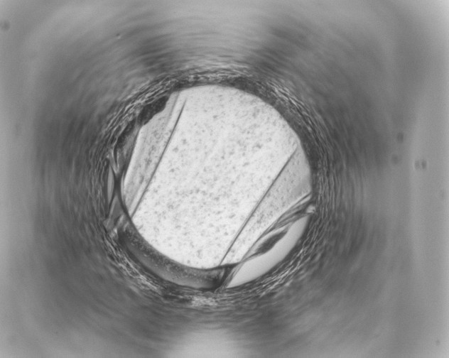 X0000087001109200705141759