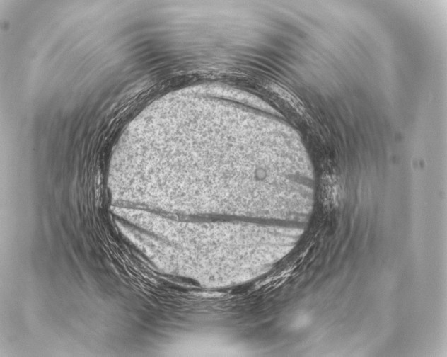 X0000087001111200705141759