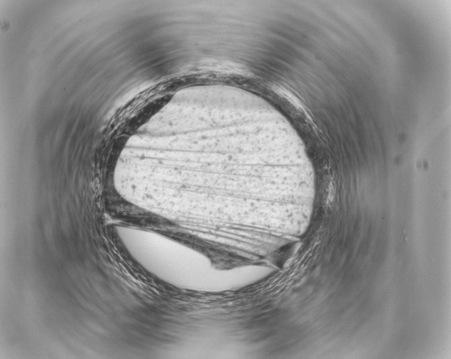 X0000087001112200705141759