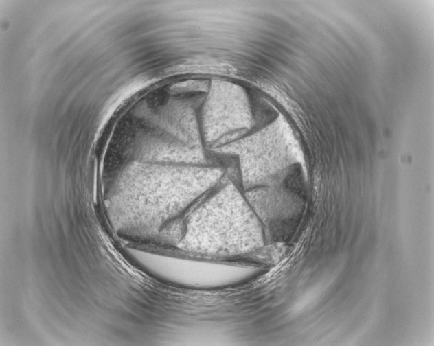 X0000087001123200705141759