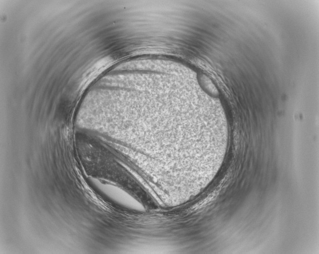 X0000087001129200705141759