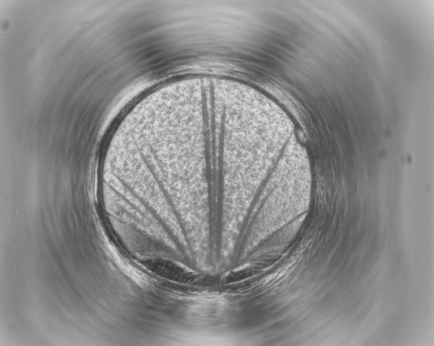 X0000087001131200705141759