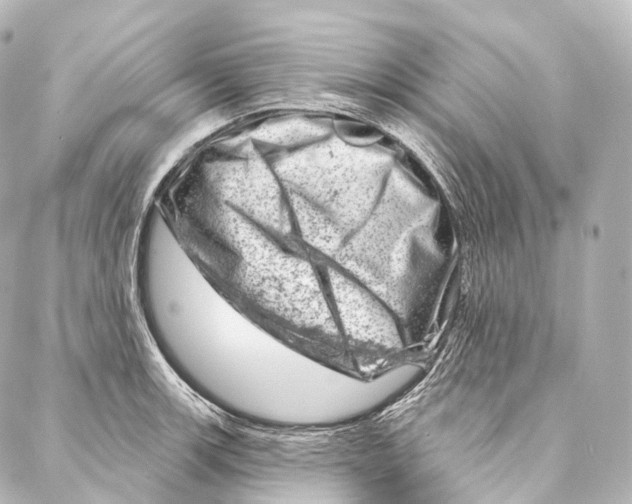 X0000087001139200705141759