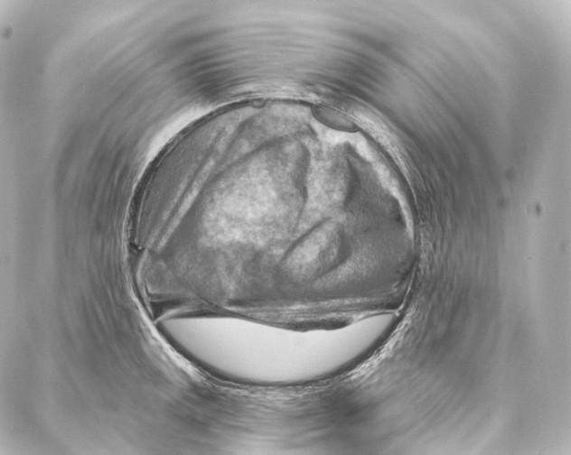 X0000087001141200705141759