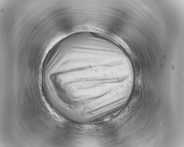 X0000087001144200705141759