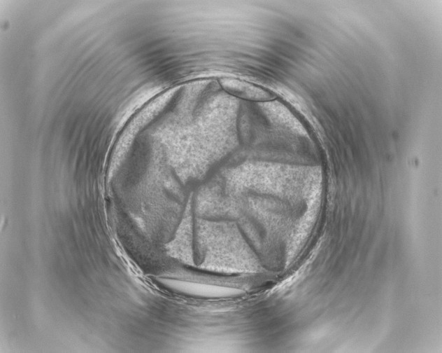 X0000087001145200705141759
