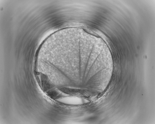 X0000087001147200705141759