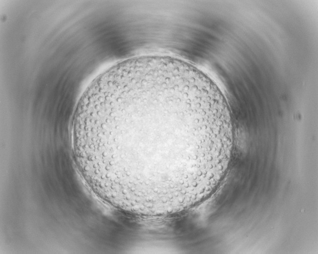 X0000087001150200705141759