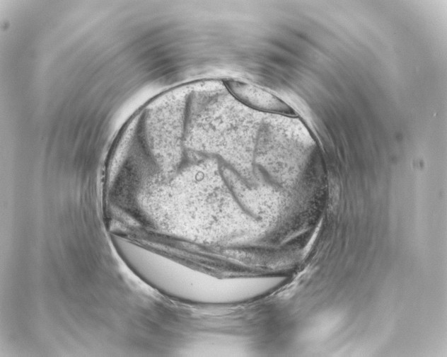 X0000087001151200705141759