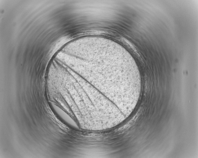 X0000087001178200705141758