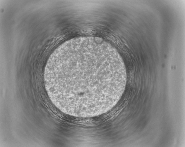 X0000087001201200705141757