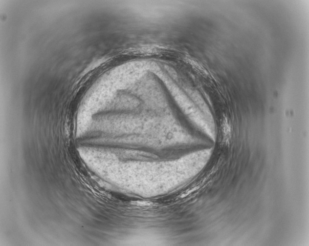 X0000087001206200705141757