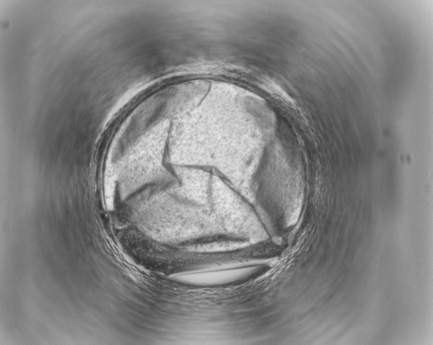 X0000087001216200705141757