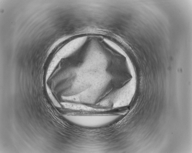 X0000087001222200705141758