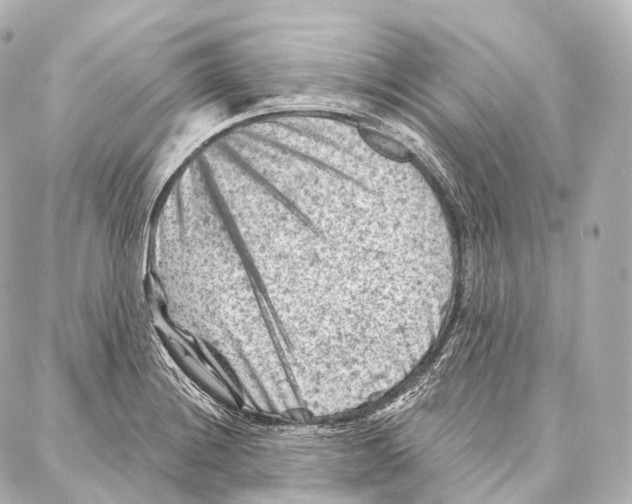 X0000087001228200705141758
