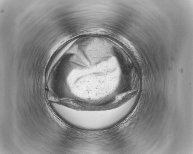X0000087001234200705141758
